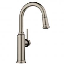 Blanco 443247 - Empressa Pull-Down Bar Faucet - Satin Platinum