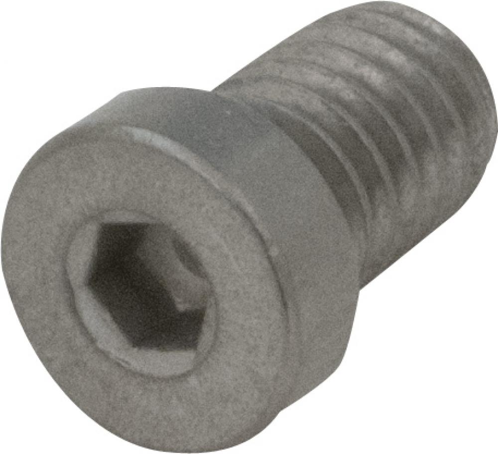 SCREW, 5/16-18 X .500