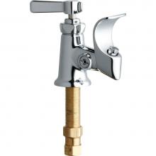 Chicago Faucets 748-244ABCP - BUBBLER KLO-SELF