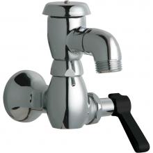 Chicago Faucets 952-269CP - SILL FAUCET