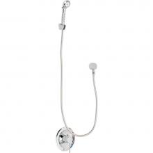 Chicago Faucets SH-PB1-00-010 - Shower Valve Only with Hand Shower