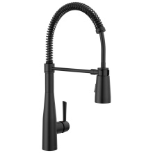Delta Faucet 9613-BL-DST - Essa® Single-Handle Pull-Down Spring Kitchen Faucet