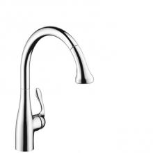 Hansgrohe 06460000 - Allegro E Gourmet Semi-Pro Kitchen Faucet, 2-Spray Pull-Down, 1.75 Gpm In Chrome