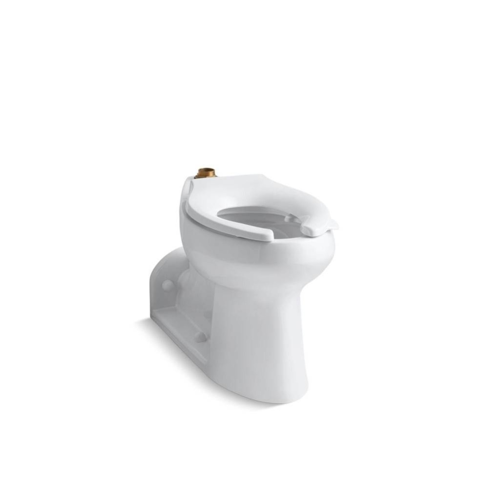 Anglesey™ Floor-mount top spud flushometer bowl with bedpan lugs