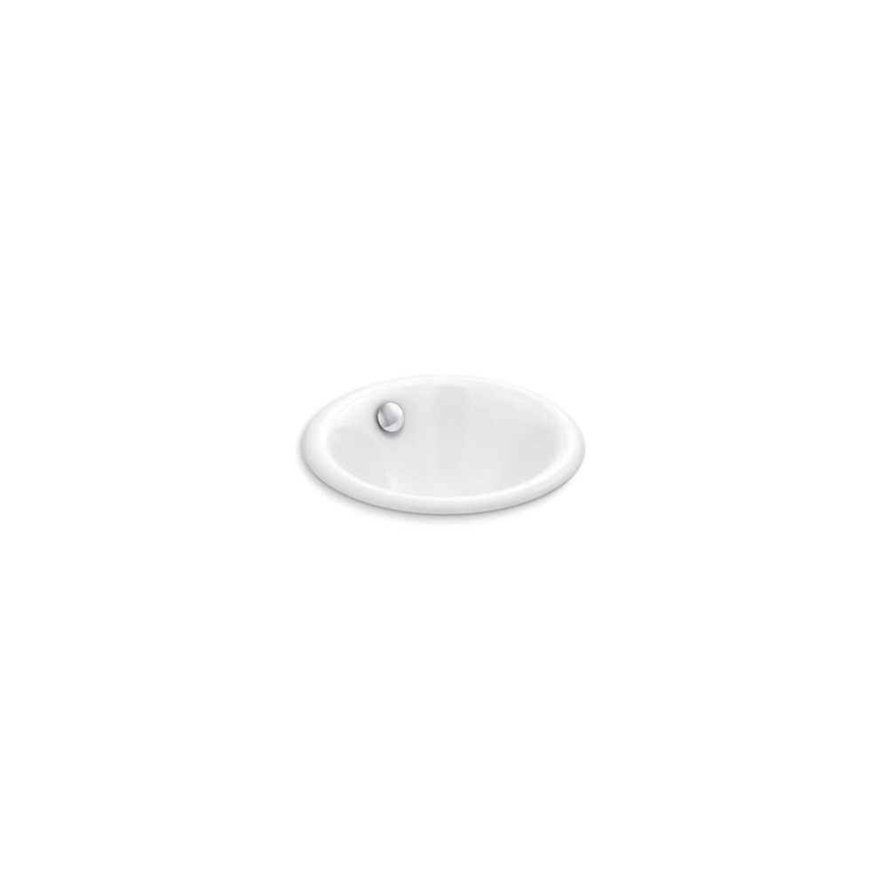 Iron Plains® 12'' round drop-in/undermount/vessel bathroom sink