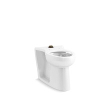 Kohler 25042-SSL-0 - Modflex® Adjust-a-Bowl® Floor-mount top spud flushometer bowl with bedpan lugs
