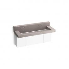 Kohler 81027-BPW-KCN - Constellation™ 60'' wall-mount trough lavatory system with backsplash