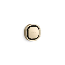 Kohler 32310-AF - Invigoration® Series Square steam head