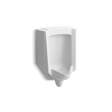 Kohler 4991-ERSS-0 - Bardon™ High-Efficiency Urinal (HEU), washout, wall-hung, 0.125 gpf to 1.0 gpf, rear spud, antim