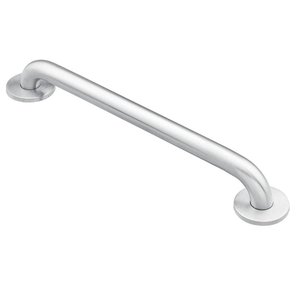 Stainless 24'' Concealed Screw Grab Bar