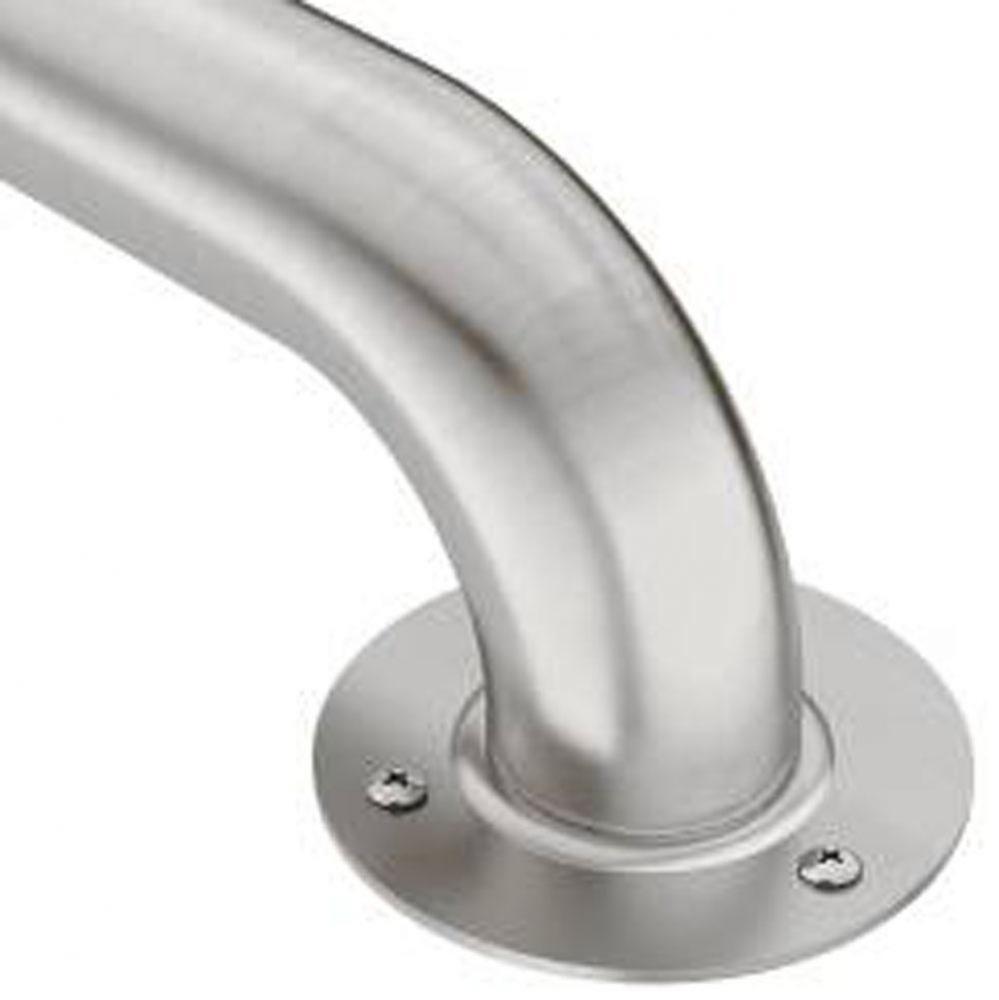 Stainless 18'' Exposed Screw Grab Bar