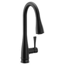 Moen 7804BL - Riverwood Kitchen Pulldown Faucet - Bl