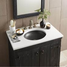 Native Trails NSL1916-S - Tolosa Bathroom Sink in Slate