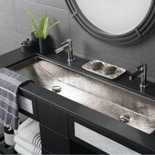 Native Trails CPS808 - Trough 48 in Bathroom Sink Polished Nickel