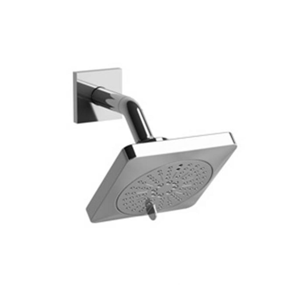 5'' 6-Function Showerhead With Arm