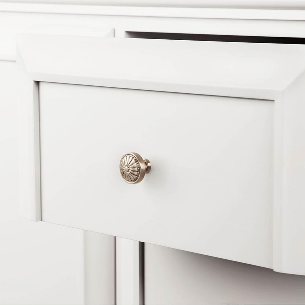 Genova Knob in Brushed Nickel