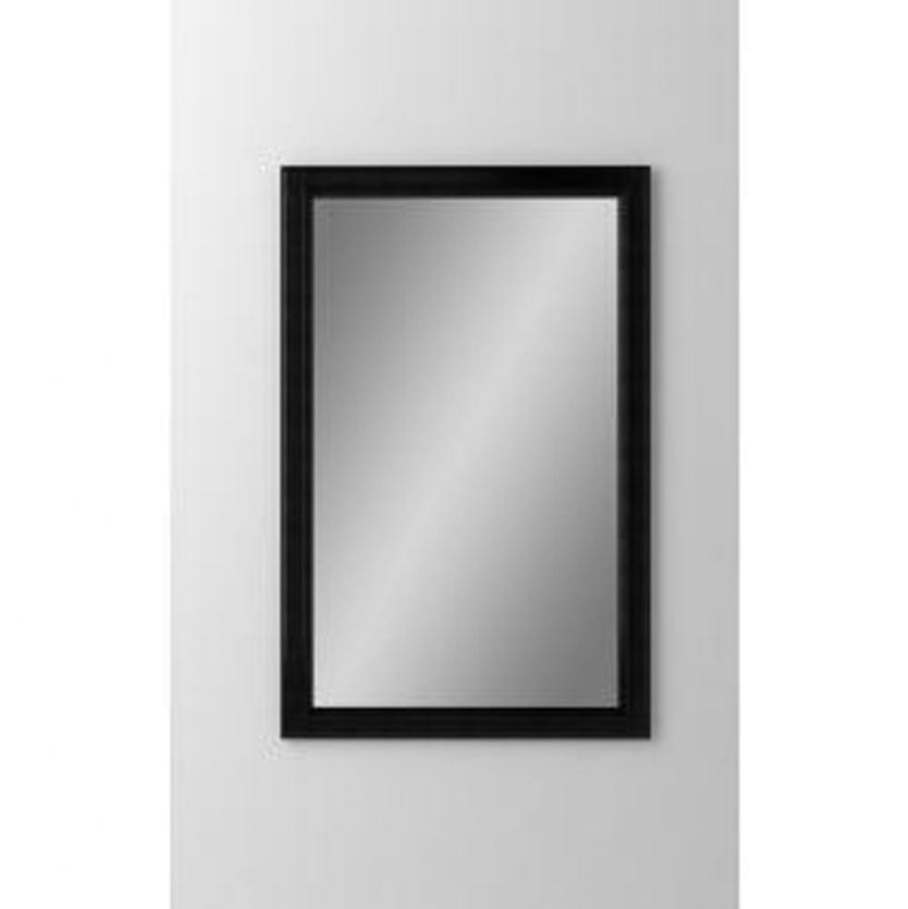 Bryn Mawr 23-1/4'' x 39-3/8'' x 4'' Framed Cabinet, Brushed Black, R