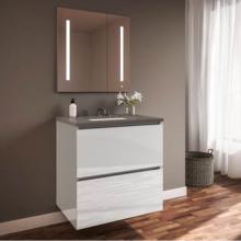 Robern 24219100NB00002 - Curated Cartesian Vanity, 24'' x 15'' x 21'', Two Drawer