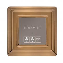 Steamist 220T-BB - TSX 220 TS Series Traditional On/Off - BB