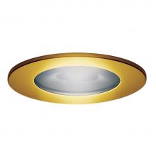 Steamist TSTR-PG - Trim Ring for ChromaSense Light - PG