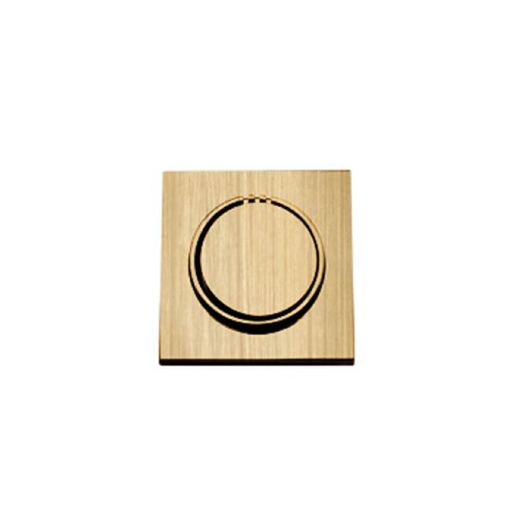 NoTouch Modern Steamhead - Antique Brass