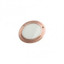 Thermasol SL-COP - Shower Light