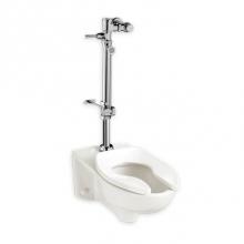 American Standard 6047820.002 - Ultima™ Manual Flush Valve With Bedpan Washer Assembly, Straight Tube, 1.28 gpf/4.8 Lpf