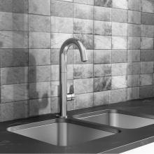 American Standard 4931410.002 - Beale® Single-Handle Pull-Down Single Spray Bar Faucet 1.5 gpm/5.7 L/min