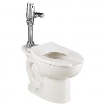 American Standard 3461511.020 - Madera™ Chair Height EverClean® Toilet System With Touchless Selectronic® Piston Flush