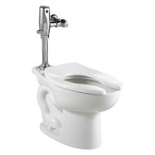 American Standard 3451511.020 - Madera™ 15-Inch EverClean® Toilet System With Touchless Selectronic® Piston Flush Valv