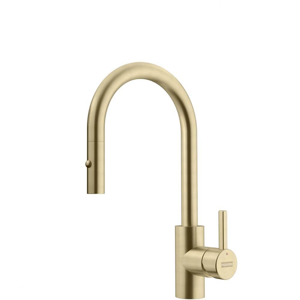 Eos Neo 14-in Single Handle Pull-Down Prep Kitchen Faucet in Gold, EOS-PR-GLD