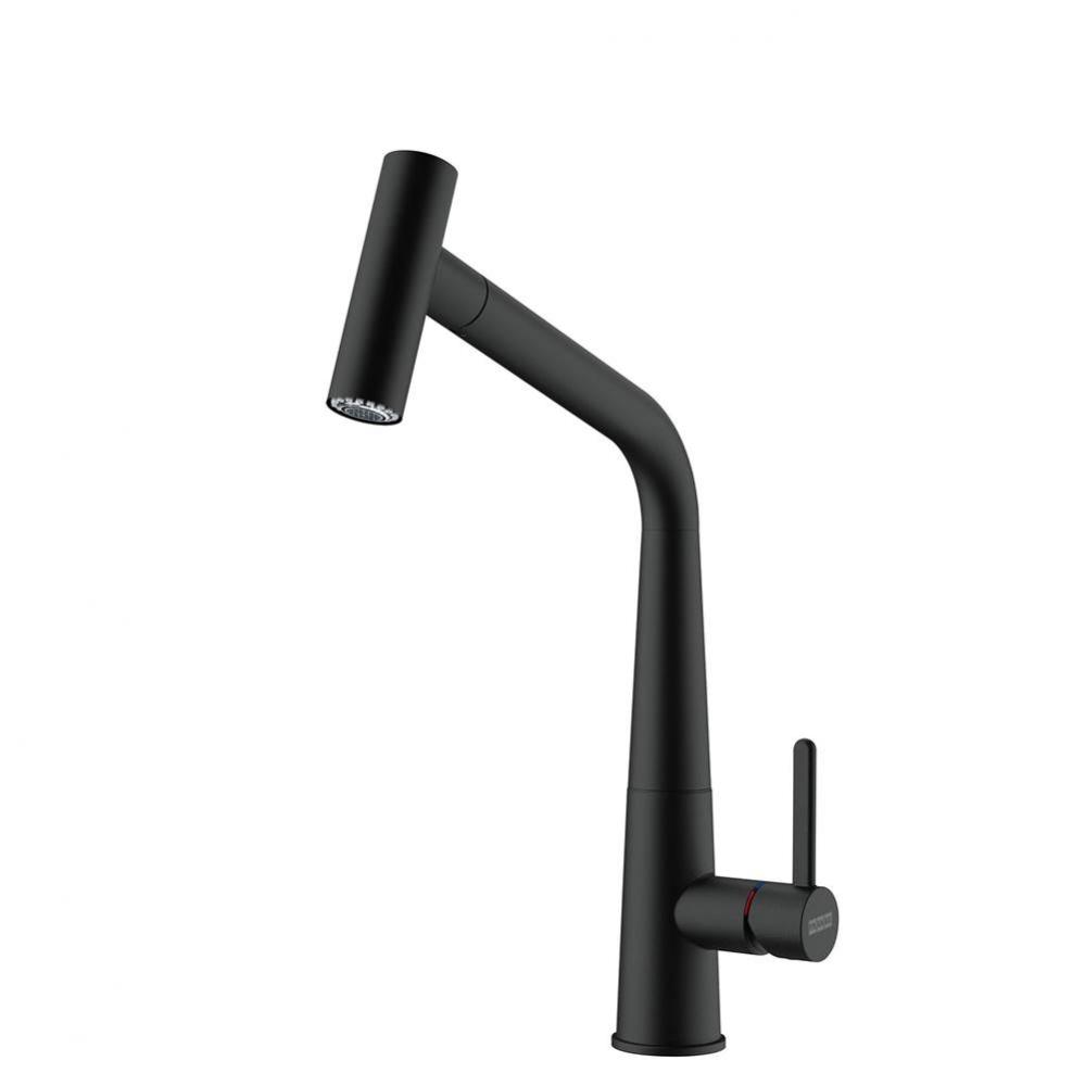 Icon 14-in Single Handle Pull-Out Kitchen Faucet in Matte Black, ICN-PO-MBK