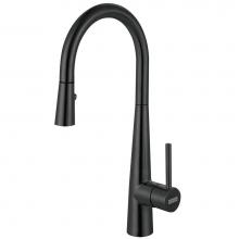 Franke STL-PR-IBK - Steel 16.7-in Single Handle Pull-Down Kitchen Faucet in Industrial Black, STL-PR-IBK