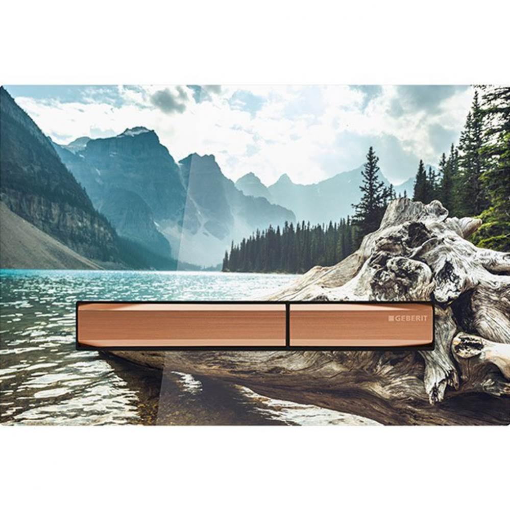 Geberit Sigma50 actuator plate for dual flush, square, metal colour red gold: Base plate and butto