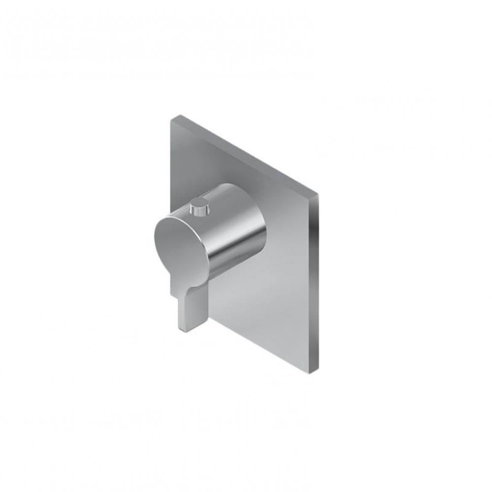M-Series Square Thermostatic Valve Trim Plate and Terra Handle