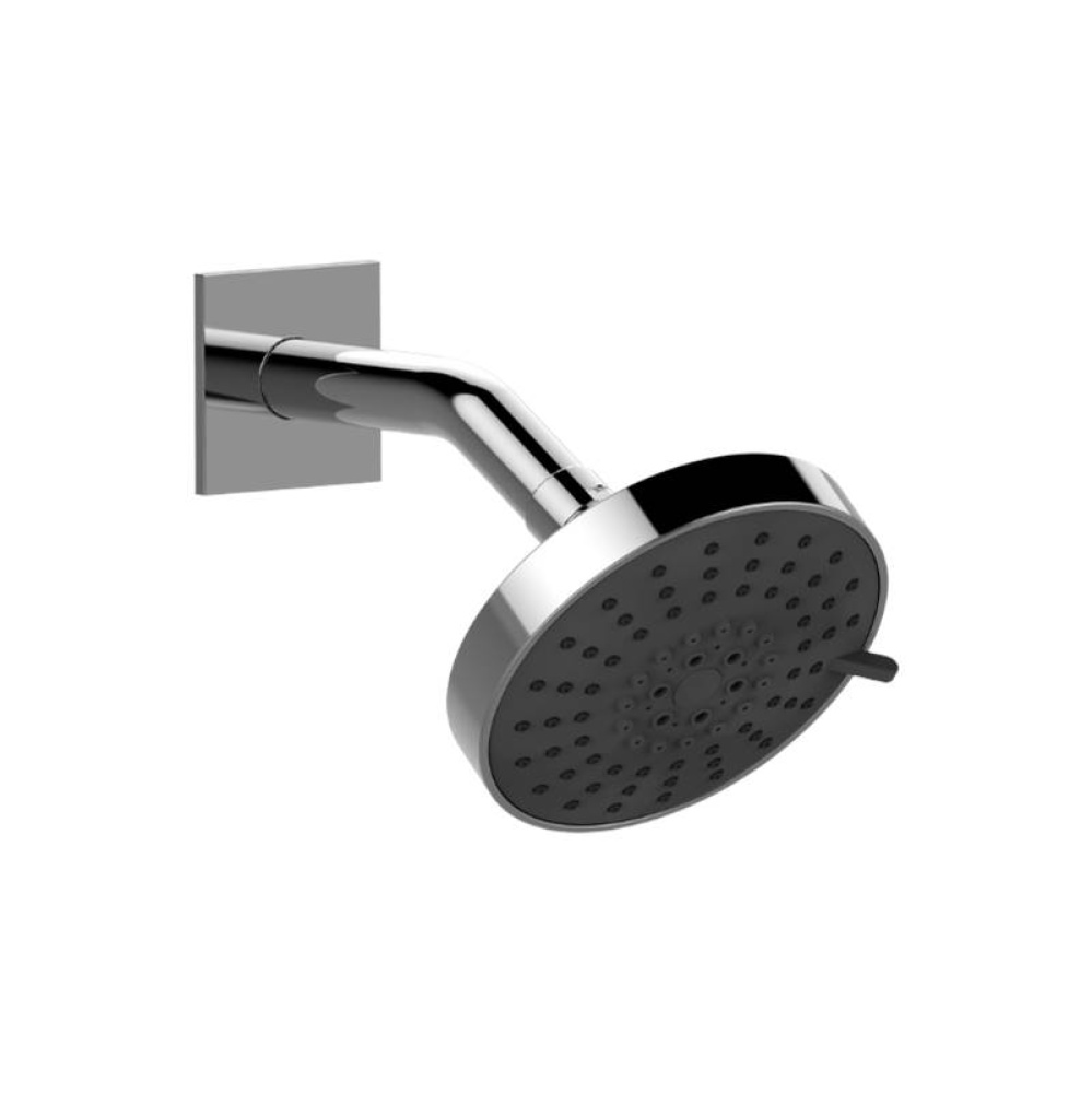 Various Contemporary Showerhead with Arm