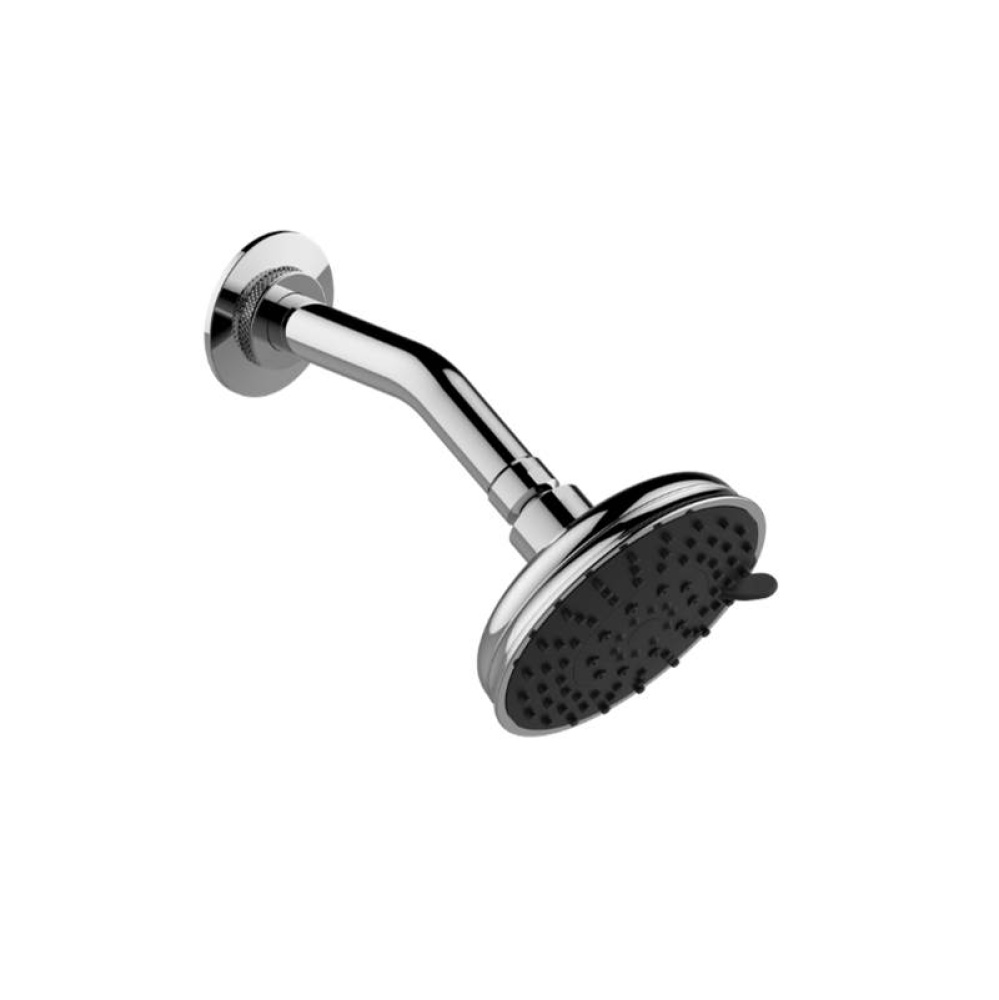 Various Transitional Showerhead with Arm