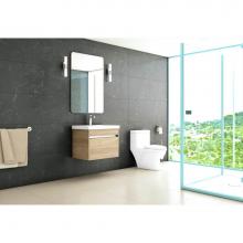 Tidal Bath TBE-247 - New Echo-24 wall-mount single-sink set