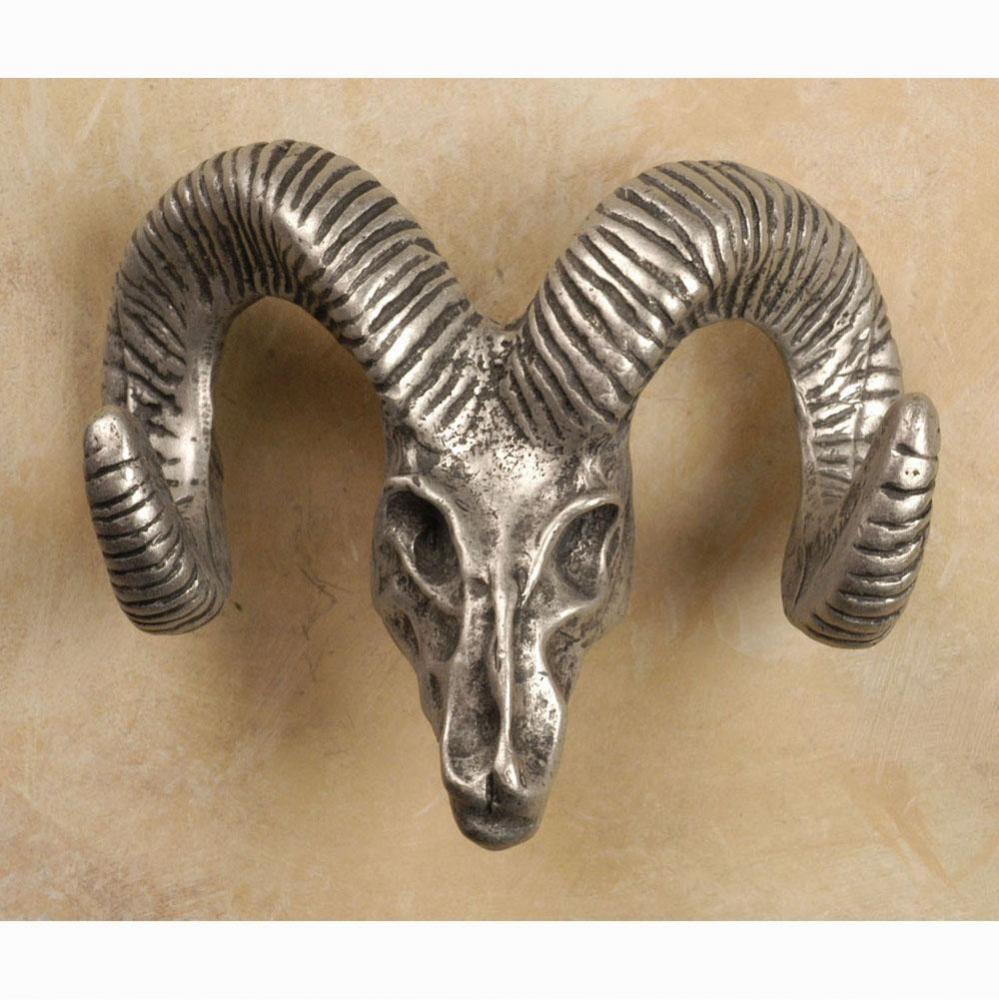 Bighorn skull