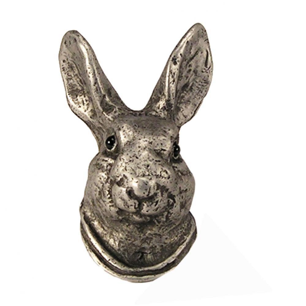 Hare head