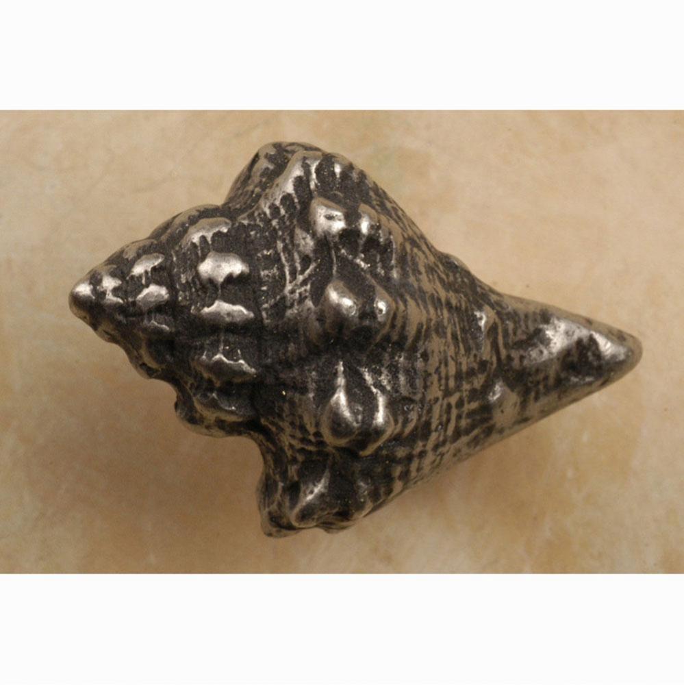 Conch shell-sm