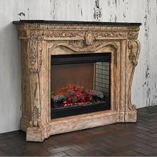 Ambella Home Collection 01129-400-061 - Floral Electric Fireplace