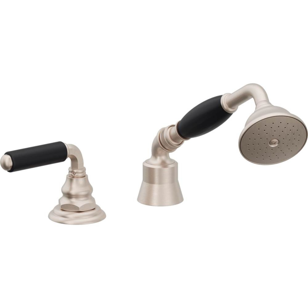 Complete Handshower & Diverter for Roman Tub