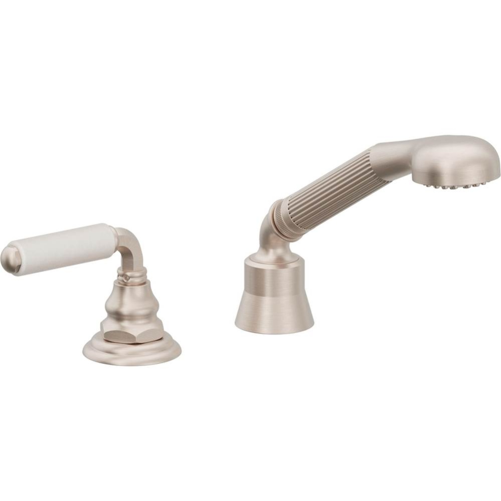 Complete Handshower & Diverter for Roman Tub