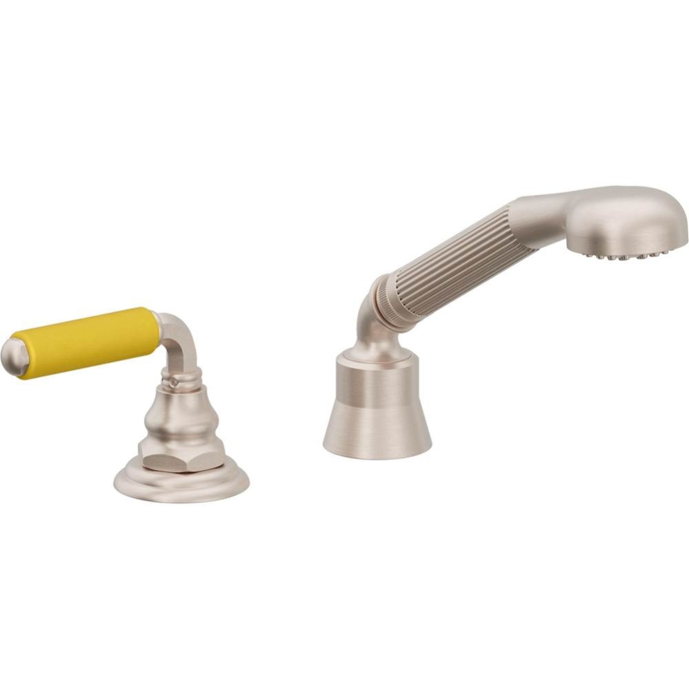 Complete Handshower & Diverter for Roman Tub