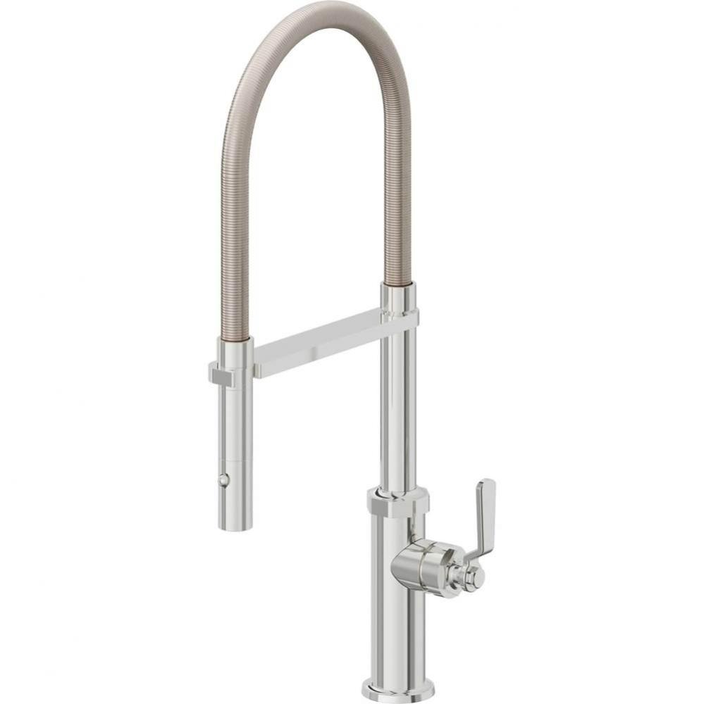 Culinary Pull-Out Kitchen Faucet with Button Sprayer