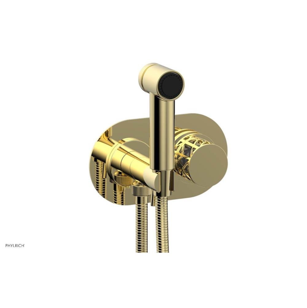 Polished Brass Jolie Wall Mounted Bidet Set With Oval Trim, Round Cutaway Handle, And Grey Accents