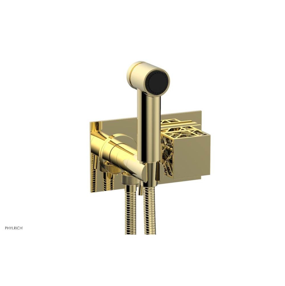 Polished Brass Jolie Wall Mounted Bidet Set With Rectangular Trim, Square Cutaway Handle, And Blac