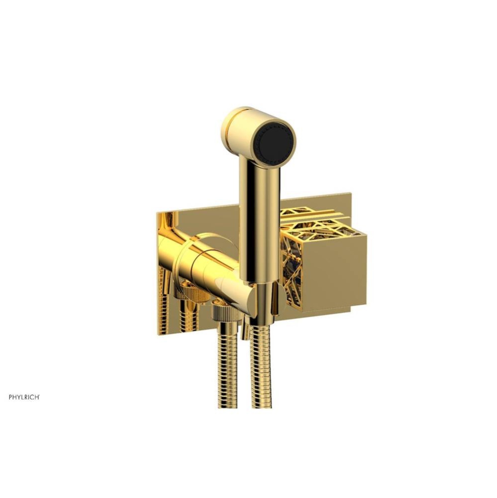 Polished Gold Jolie Wall Mounted Bidet Set With Rectangular Trim, Square Cutaway Handle, And Navy