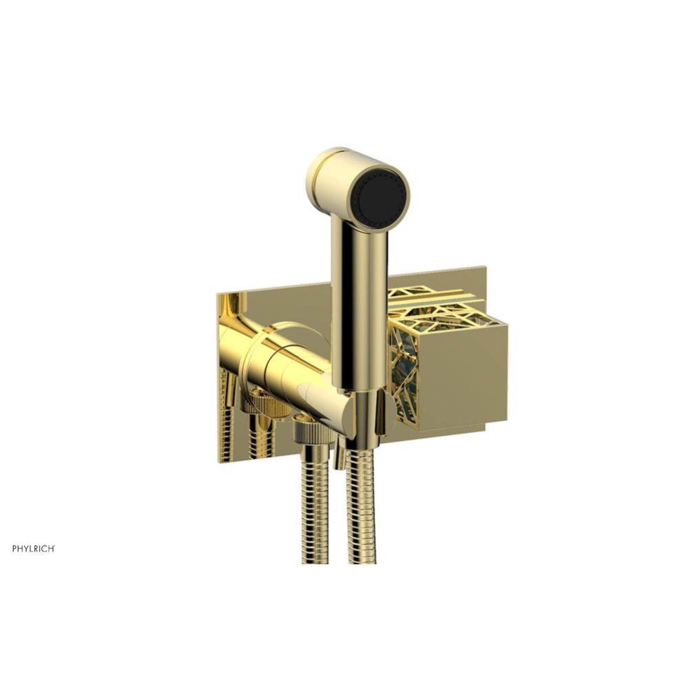 Polished Brass Jolie Wall Mounted Bidet Set With Rectangular Trim, Square Cutaway Handle, And Turq